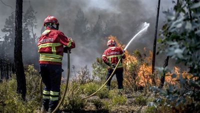 إجلاء أكثر من ألف شخص بسبب حريق غابات في البرتغال