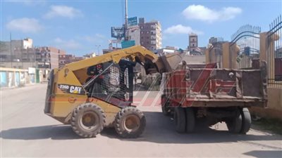 حملات نظافة ولقاءات جماهيرية وزراعة أشجار بكفر الشيخ 