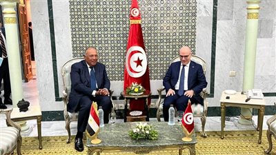 شكري يؤكد دعم مصر لإجراءات الرئيس التونسي لبناء مستقبل أفضل لبلاده
