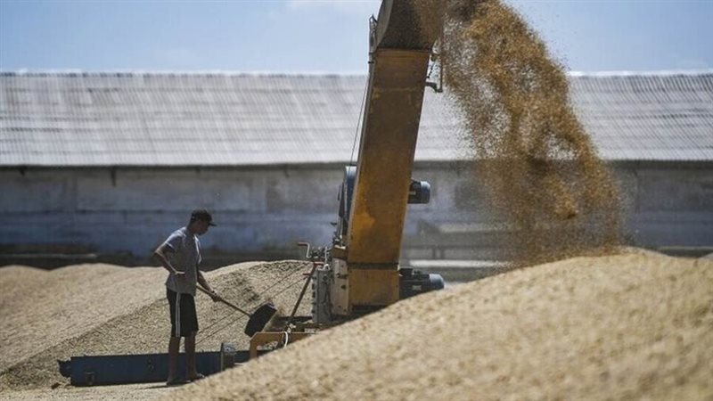 صادرات الحبوب