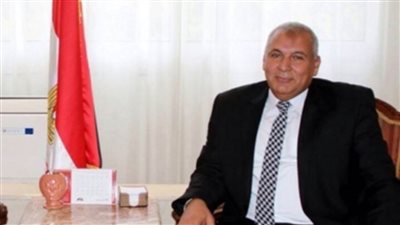 محافظ الوادي الجديد يبحث مع وفد 