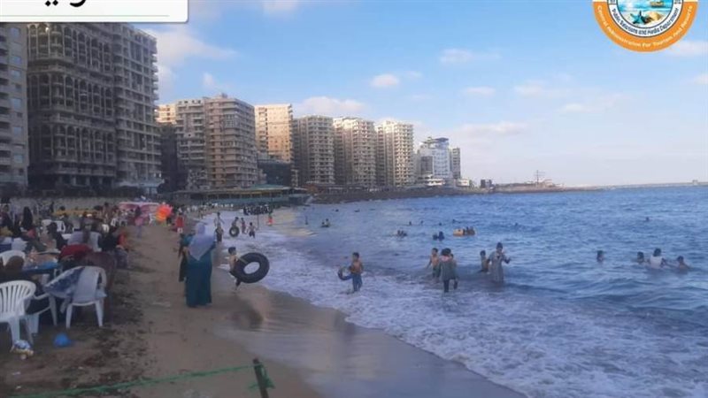 نسب الإشغالات لا