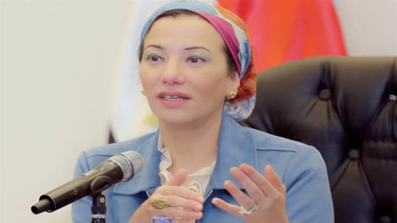 د. ياسمين فؤاد وزيرة