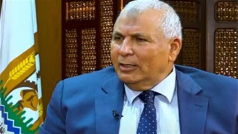 محافظ الوادي الجديد