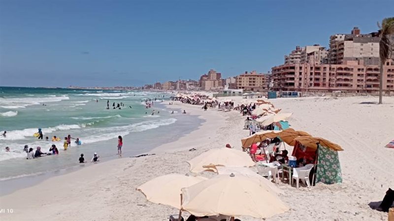 شواطئ الإسكندرية