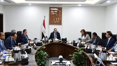 رئيس الوزراء يتابع ما يتم منحه من تيسيرات ومحفزات للمصريين بالخارج في مختلف القطاعات