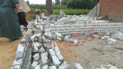  إزالة تعديات وتجميل وإصلاح خطوط الطرد بمراكز ومدن كفر الشيخ