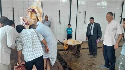 ضبط 130 كيلو لحوم خارج السلخانة وغير صالحة للاستهلاك الآدمي بمطاي شمال المنيا
