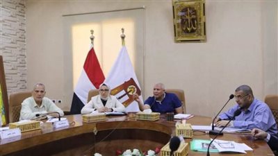 عبر الفيديو كونفرانس.. محافظ الوادي الجديد يعقد اجتماعًا مع رؤساء المراكز