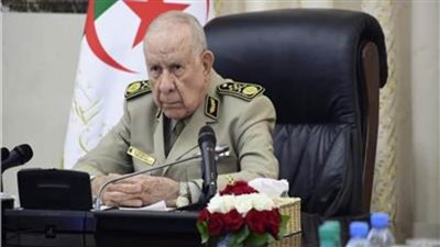 رئيس أركان الجيش الجزائري: معالجة أسباب الأزمات الإقليمية والدولية عبر الالتزام بالشرعية الدولية