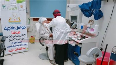 تقديم الخدمات الطبية للمرضى في 14 قرية بكفر الشيخ 