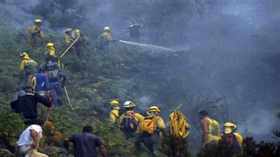 حرائق الغابات في إسبانيا تخرج عن السيطرة والحكومة تكافح