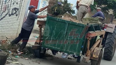 استمرار فعاليات حملة النظافة والتجميل ببيلا في كفر الشيخ 
