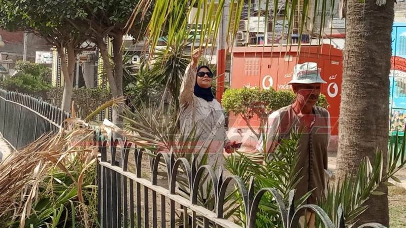 تهذيب الأشجار