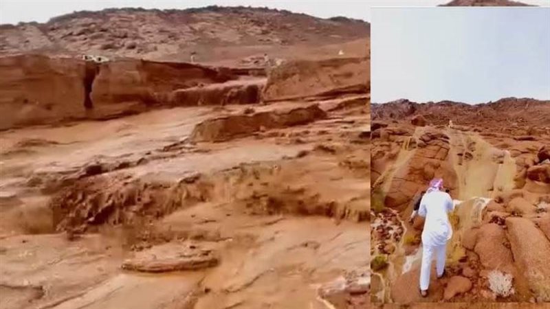 سينايون يبحثون عن