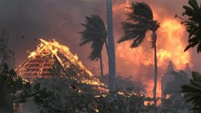 مسؤول الطوارئ في جزيرة 