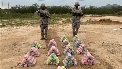 حرس الحدود السعودي يحبط تهريب 83 كيلوجرامًا من نبات القات المخدر 