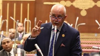 الجندي: قرار الرئيس بالعفو عن بعض السجناء يؤكد حرص الدولة على مصلحة الشباب