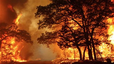 إعلان حالة الطوارئ جراء حرائق الغابات بالغرب الكندي