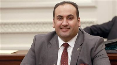 الرشيدي: قرارات العفو الرئاسي نموذج حقيقي لأسمى معاني حقوق الإنسان