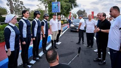    الرئيس السيسي: مصر تمتلك فرصا واعدة في توليد 