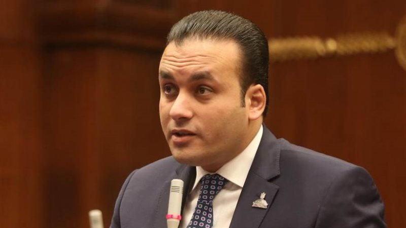 النائب عمرو فهمي