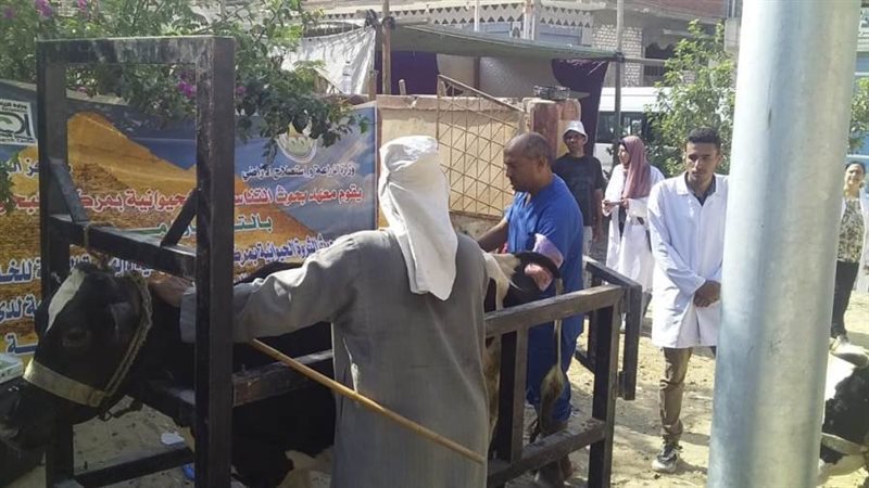 حياة كريمة... قافلة