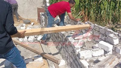 إزالة التعديات على الأراضي الزراعية وتطهير خطوط الصرف بكفر الشيخ