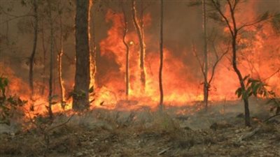 إعلان حالة الطوارئ بعد حريق هائل بولاية واشنطن