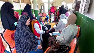 خدمات طبية وندوات تثقيفية في قافلة سكانية بقرية الدرمللي بالبحيرة 