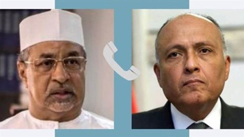 شكرى ونظيره التشادي