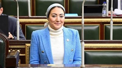 النائبة أسماء الجمال: حفظ قضايا التمويل الأجنبي من النتائج المثمرة للحوار الوطني