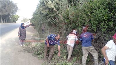 تكثيف الحملات لرفع مستوي الخدمات المقدمة للمواطنين بكفر الشيخ