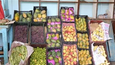 استمرار ضخ السلع الغذائية واللحوم الطازجة بأسعار مخفضة بمنافذ الوحدات المحلية بالوادي الجديد