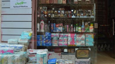 مليون و120 ألف جنيه لتنمية 112 مشروعًا للحالات الأولى بالرعاية ضمن 