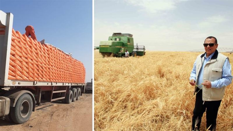 المهندس عمرو عبد