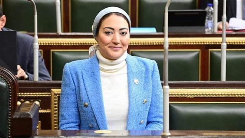 النائبة أسماء الجمال