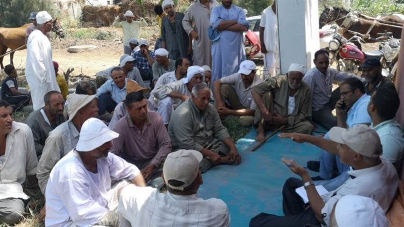 زراعة البحيرة تنفذ