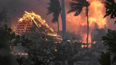 عاجل.. الولايات المتحدة : حصيلة المفقودين جراء حرائق هاواي بلغت 388 شخصا