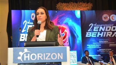 نهال بلبع: الرئيس السيسي حريص على تأسيس نظام صحي قوي للمصريين