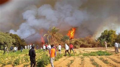 السيطرة على حريق اندلع في مزرعة بالوادي الجديد