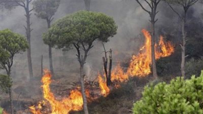 ميتا تواجه انتقادات في كندا بسبب حجب الأخبار على فيسبوك وسط حرائق الغابات