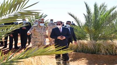 عاجل.. الرئيس السيسي: نستهدف زراعة 4 ملايين فدان خلال مدة زمنية لا تزيد عن عام