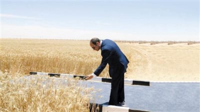 توشكى الطريق لتأمين الأمن الغذائى فى مصر