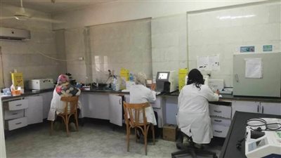 صحة المنيا :إجراء 58 ألفا و751 تحليلا مختلفا بمعامل المستشفيات خلال شهر 