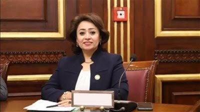 حقوق الإنسان بالشيوخ تثمن قرار السيسي بتعزيز صندوق الشهداء: دفعوا ثمنًا غاليًا