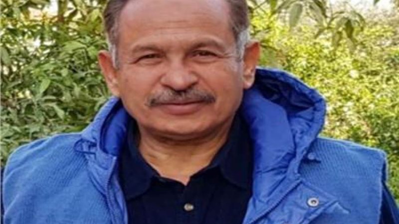 بوابة روز اليوسف