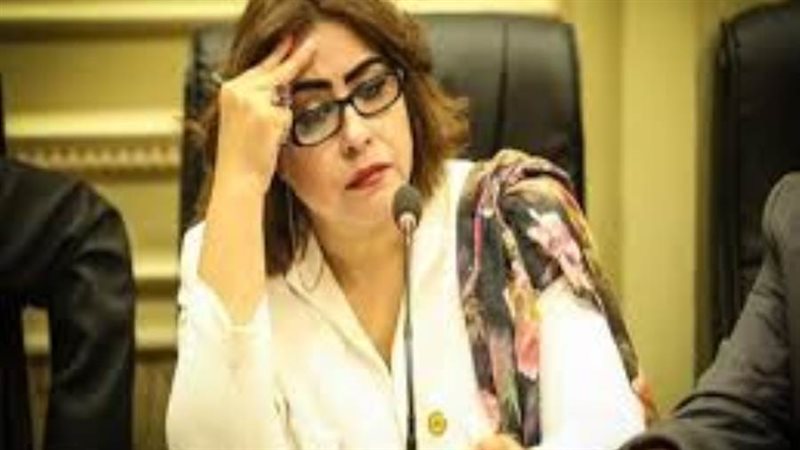 النائبة غادة عجمي