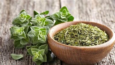 لصحة أسرتك.. فوائد وأضرار الزعتر واشهر الوصفات التي يستخدم فيها