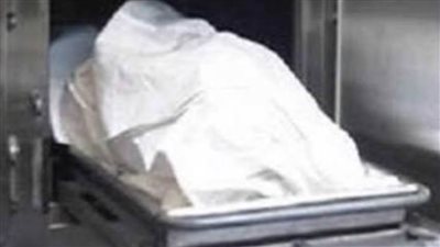 مصرع سيدة في حادث تصادم بمنيا القمح في الشرقية